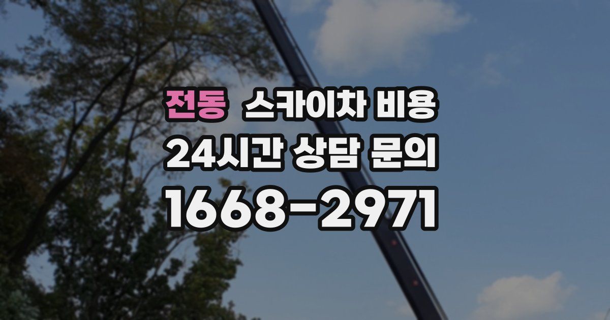 전동 스카이차 비용