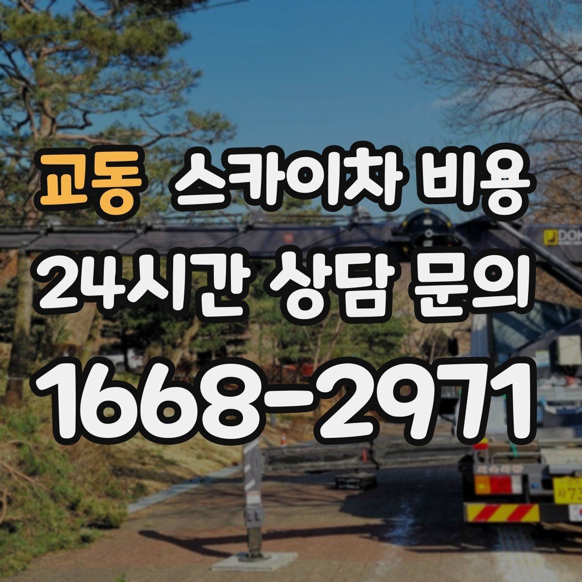 교동 스카이차 비용 통신선 처짐 정리는 구간 수가 중요합니다