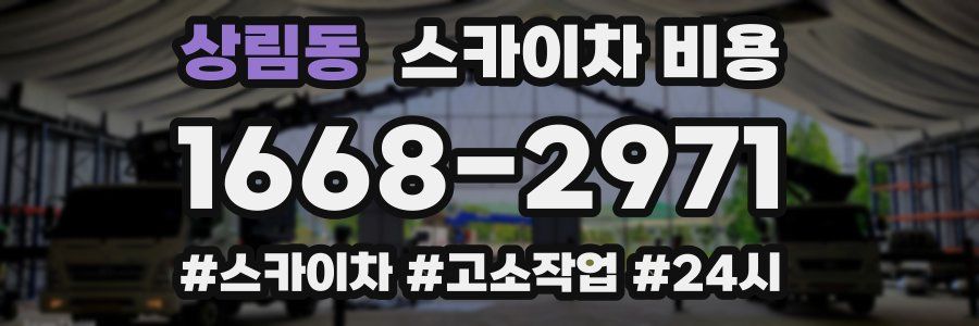상림동 스카이차 비용