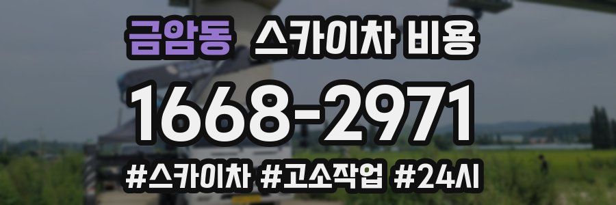 금암동 스카이차 비용