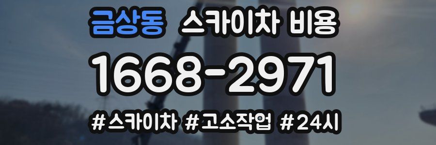 금상동 스카이차 비용