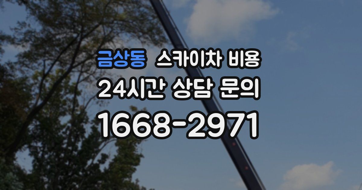 금상동 스카이차 비용