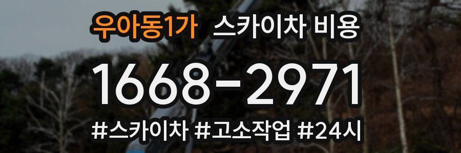 우아동1가 스카이차 비용