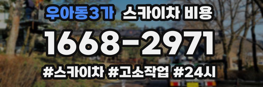 우아동3가 스카이차 비용