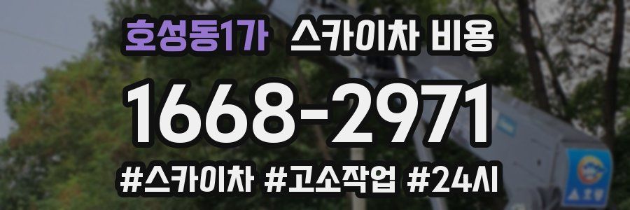호성동1가 스카이차 비용
