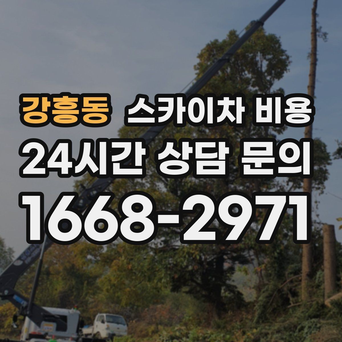 강흥동 스카이차 비용 장비가 서야 하는 위치부터 확인하세요
