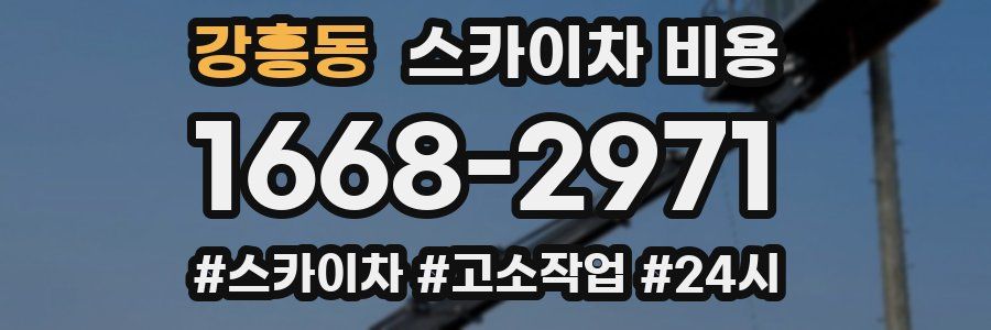 강흥동 스카이차 비용
