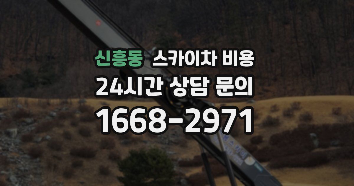 신흥동 스카이차 비용