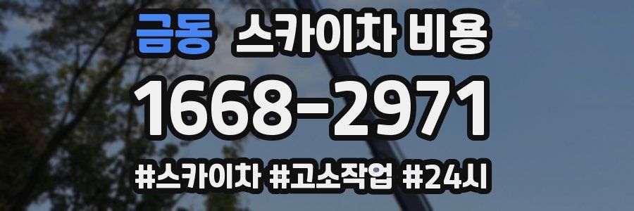 금동 스카이차 비용