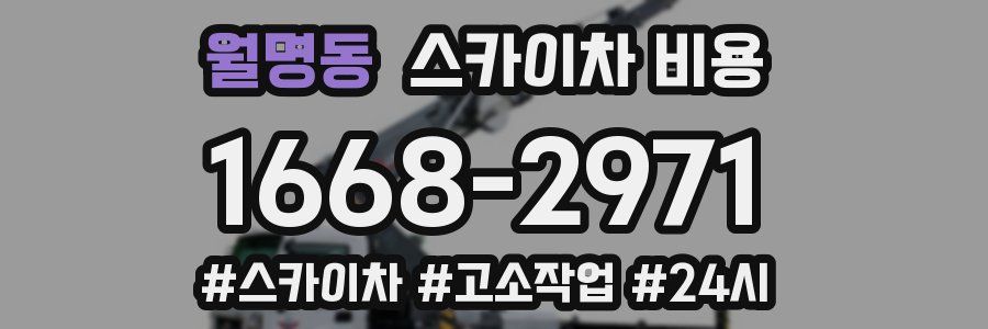 월명동 스카이차 비용