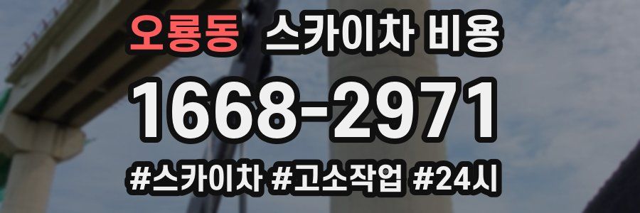 오룡동 스카이차 비용