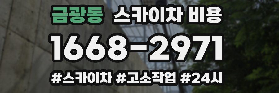 금광동 스카이차 비용