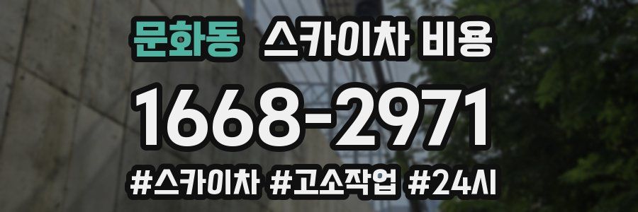 문화동 스카이차 비용