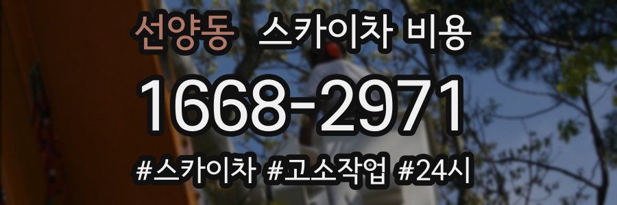 선양동 스카이차 비용