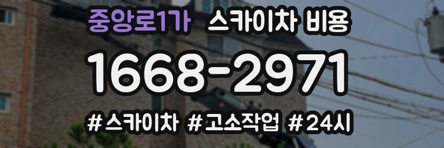 중앙로1가 스카이차 비용