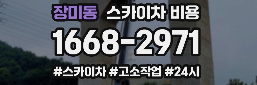 장미동 스카이차 비용