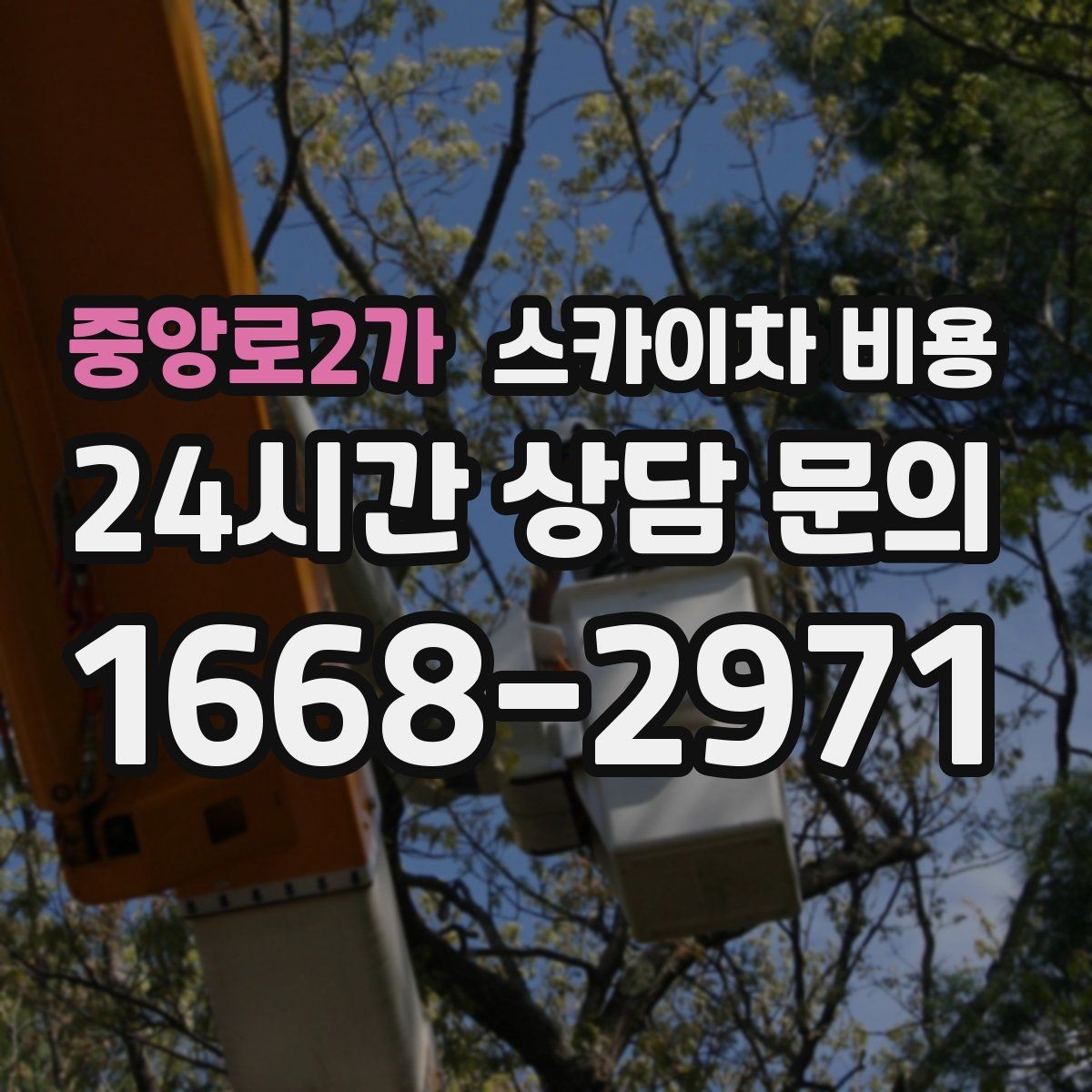 중앙로2가 스카이차 비용 외벽 크랙 점검만 하는 경우 비용 포인트