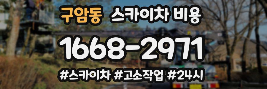 구암동 스카이차 비용