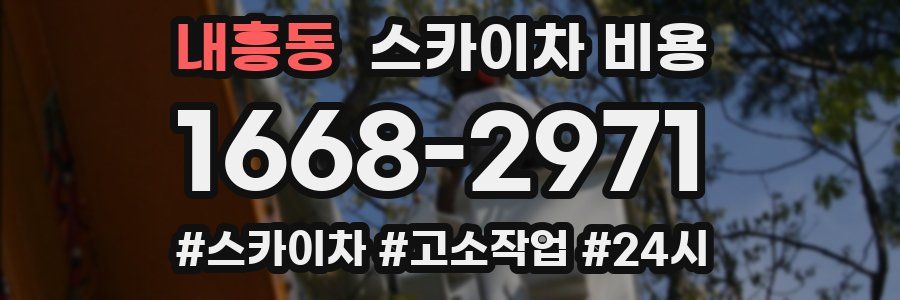 내흥동 스카이차 비용