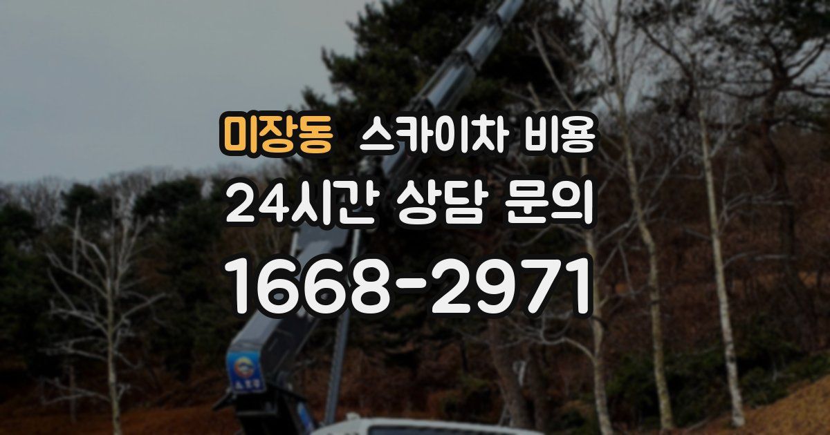 미장동 스카이차 비용