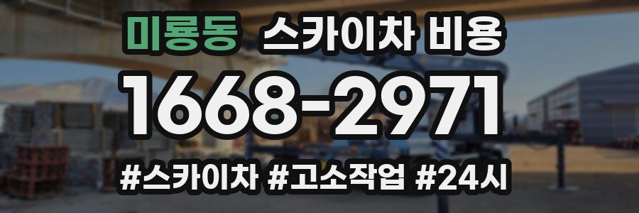 미룡동 스카이차 비용