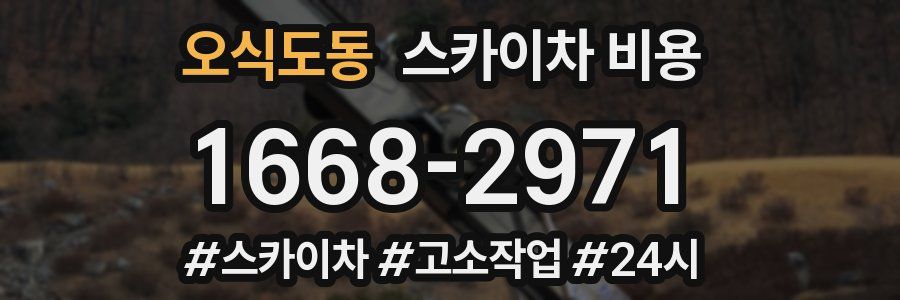 오식도동 스카이차 비용