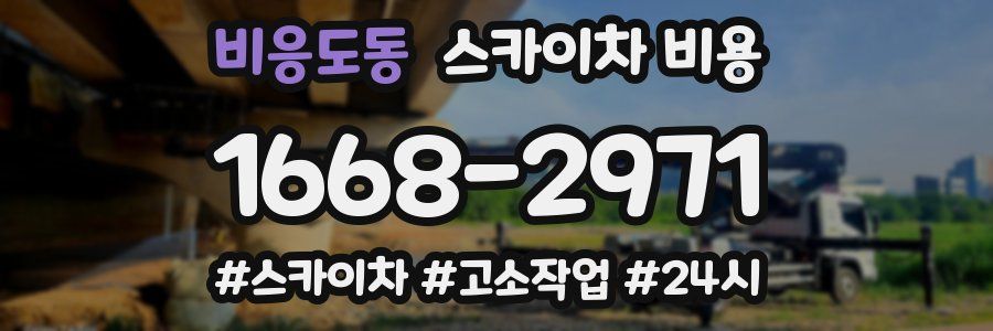 비응도동 스카이차 비용