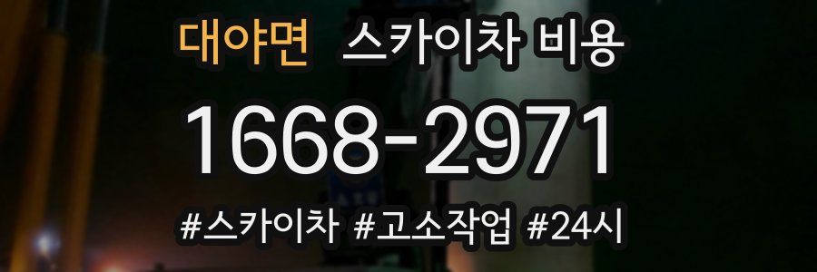 대야면 스카이차 비용