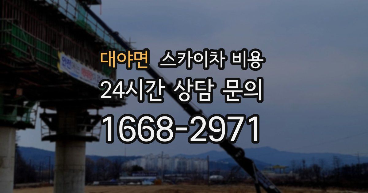 대야면 스카이차 비용