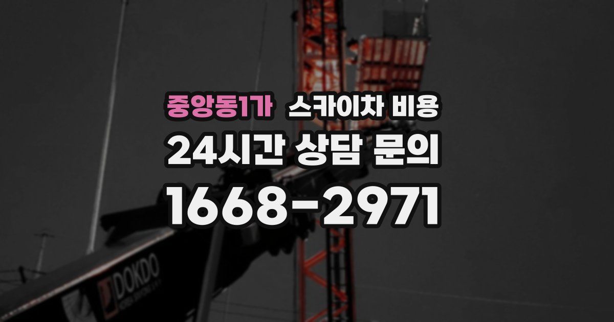 중앙동1가 스카이차 비용