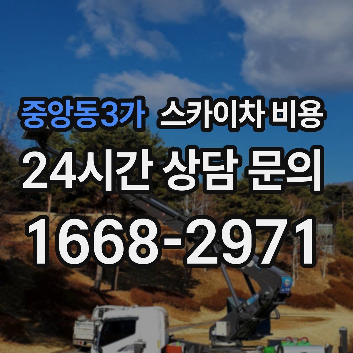 중앙동3가 스카이차 비용 수목 전정은 작업 구역이 넓으면 달라질까
