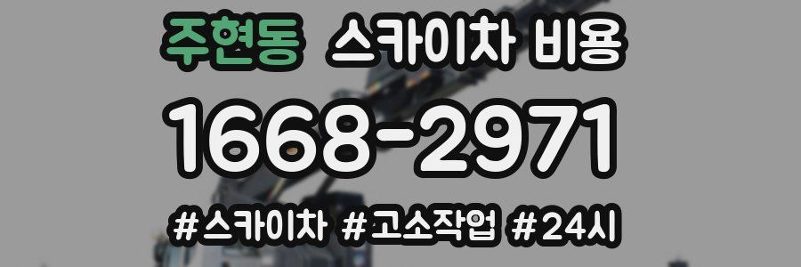 주현동 스카이차 비용