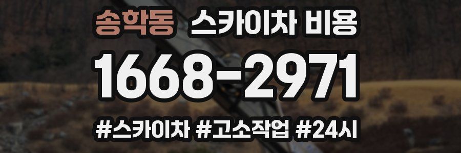 송학동 스카이차 비용