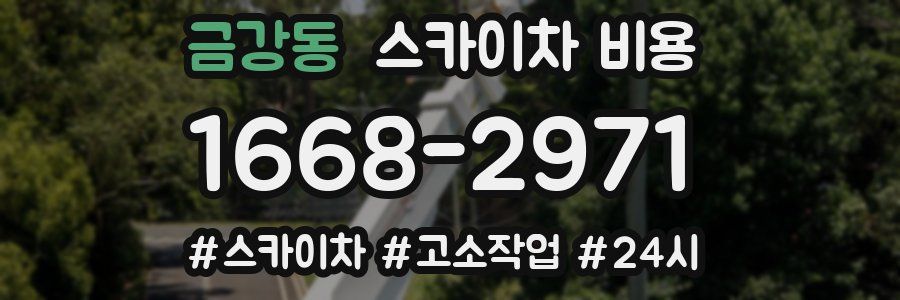 금강동 스카이차 비용