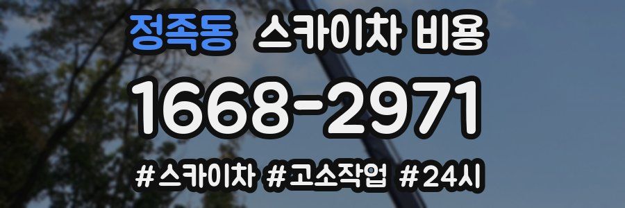 정족동 스카이차 비용