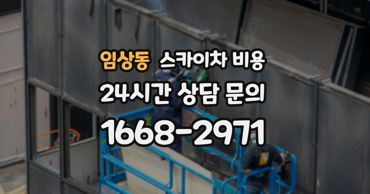 임상동 스카이차 비용