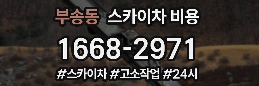 부송동 스카이차 비용