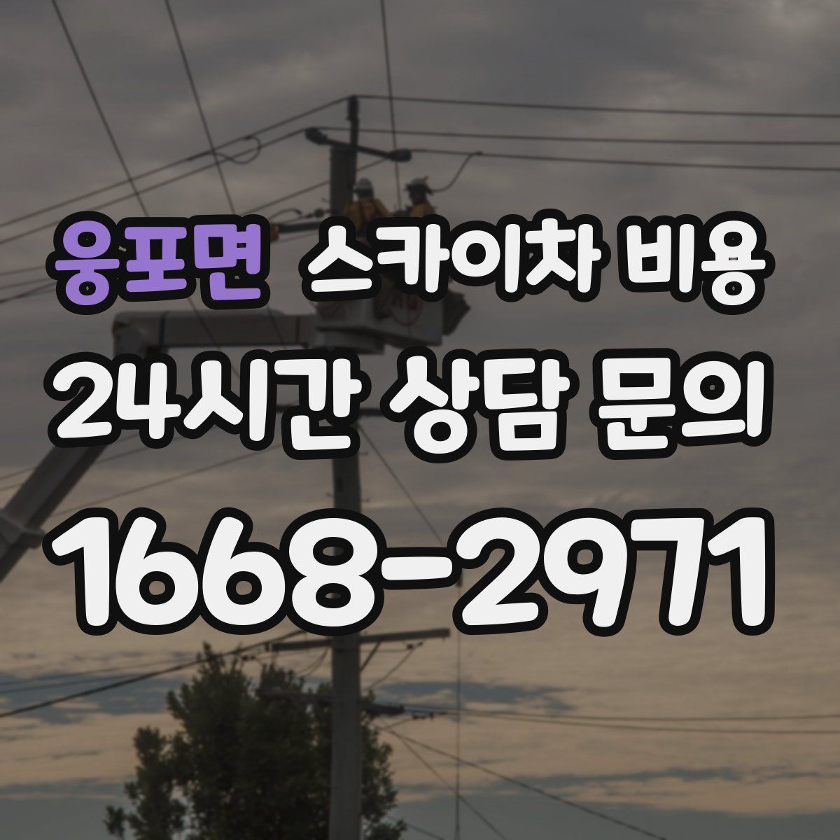 웅포면 스카이차 비용
