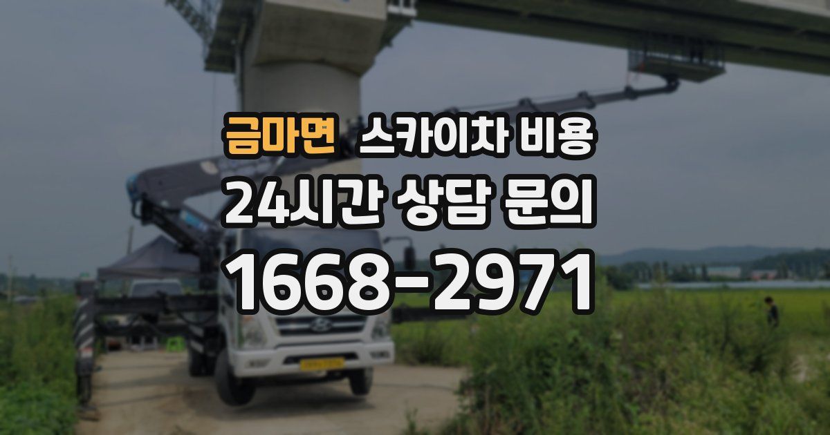 금마면 스카이차 비용