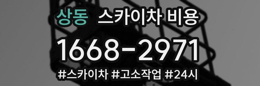 상동 스카이차 비용