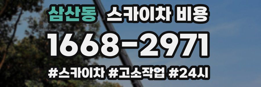 삼산동 스카이차 비용