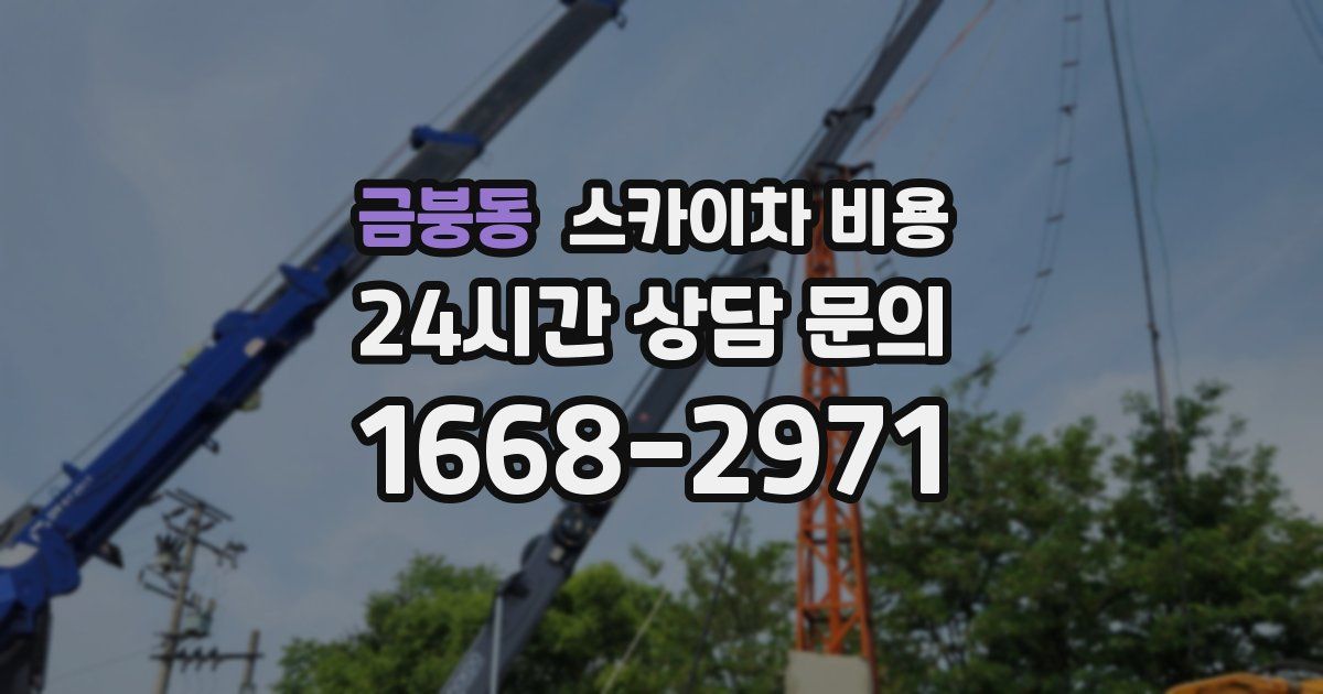 금붕동 스카이차 비용