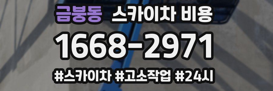 금붕동 스카이차 비용