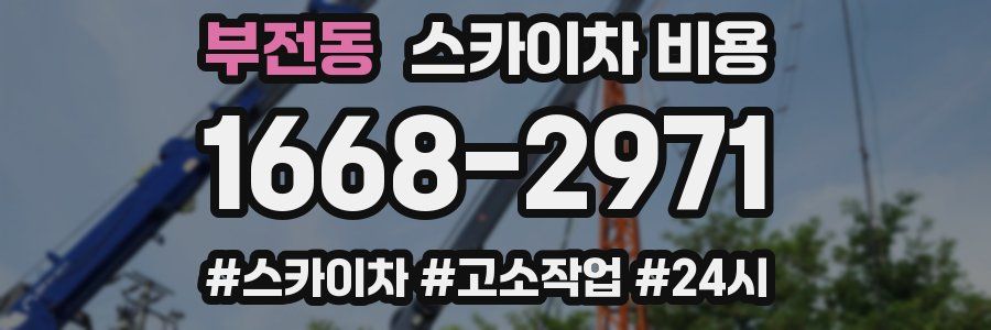 부전동 스카이차 비용