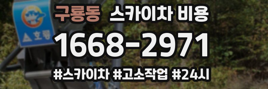 구룡동 스카이차 비용