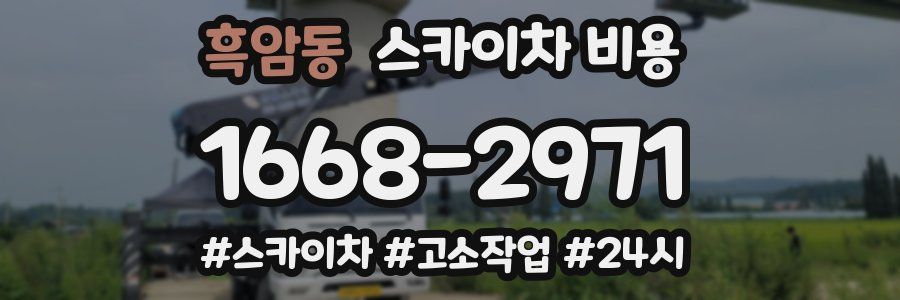 흑암동 스카이차 비용