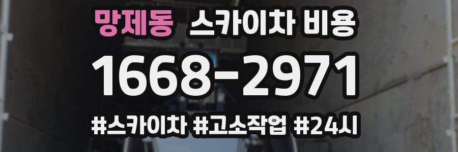 망제동 스카이차 비용