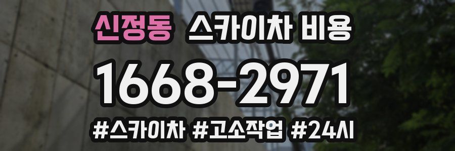 신정동 스카이차 비용