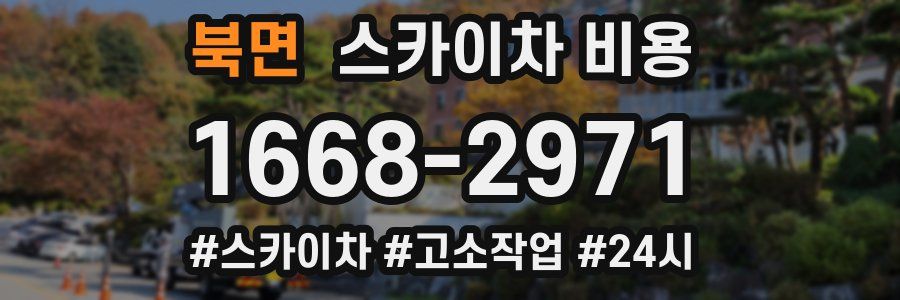 북면 스카이차 비용