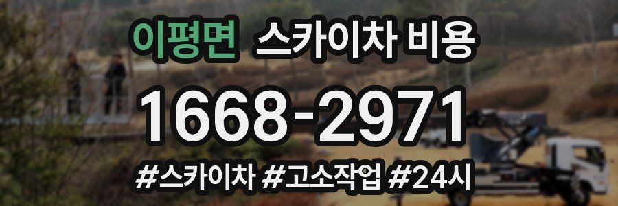 이평면 스카이차 비용